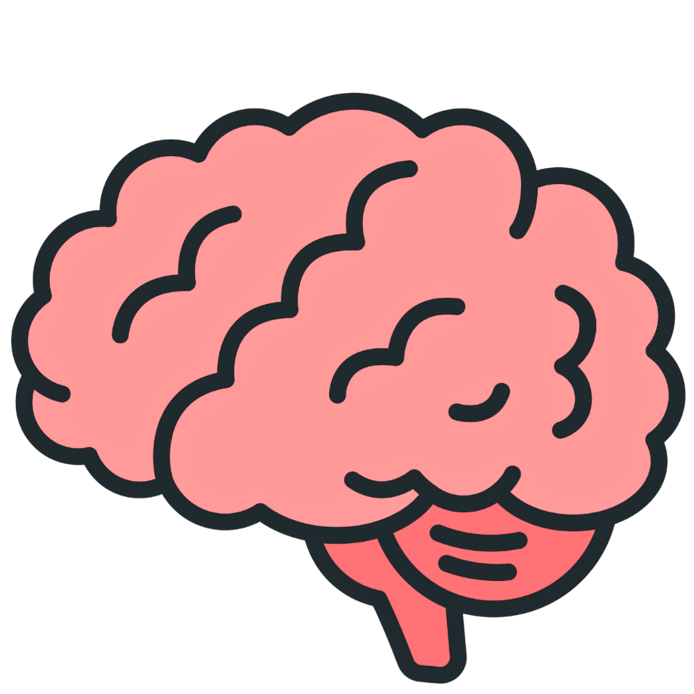 brain