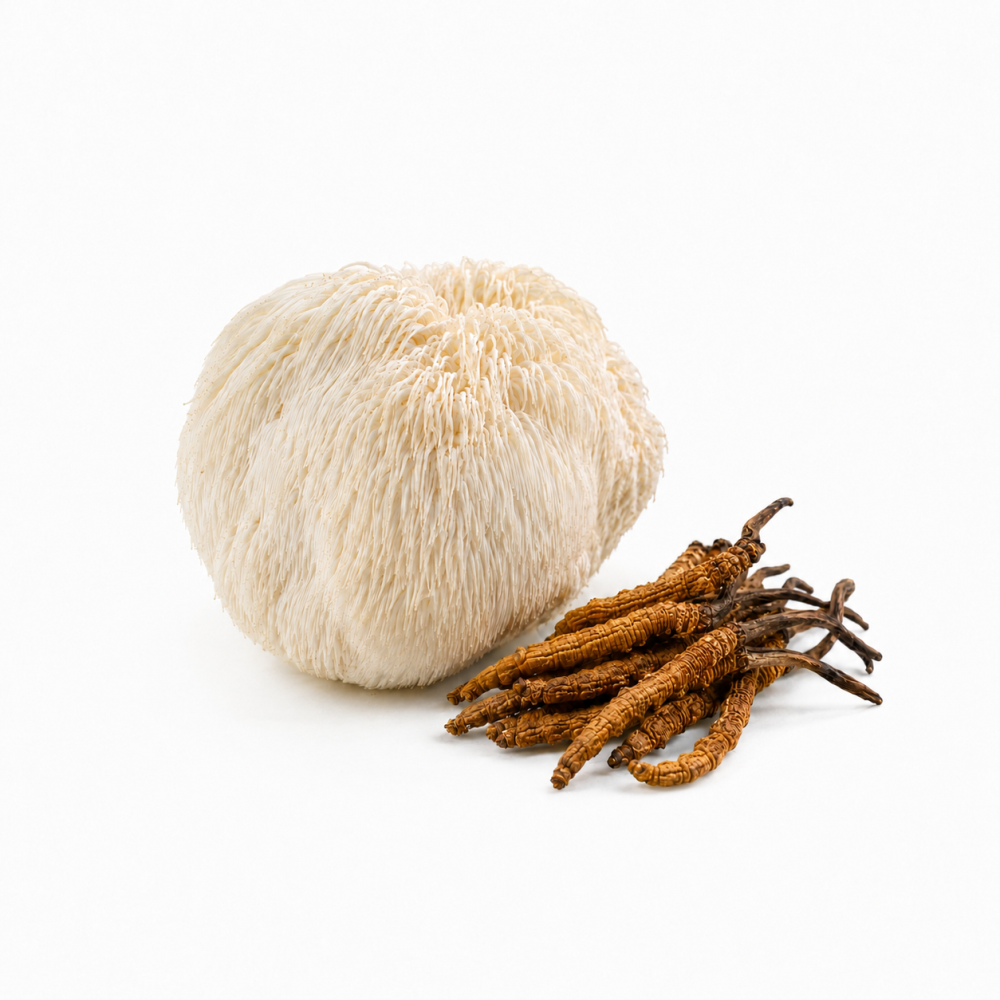Lion's Mane a&nbsp;Cordyceps