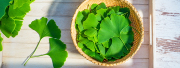 Ginko Biloba