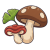 Tradiční asijské extrakty