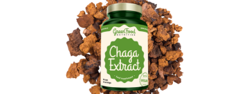 Chaga extrakt – benefity, dávkovanie a riziká