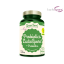 Probiotyki LactoSpore® + Prebiotyki 60 kapsułek