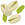 Pistacje