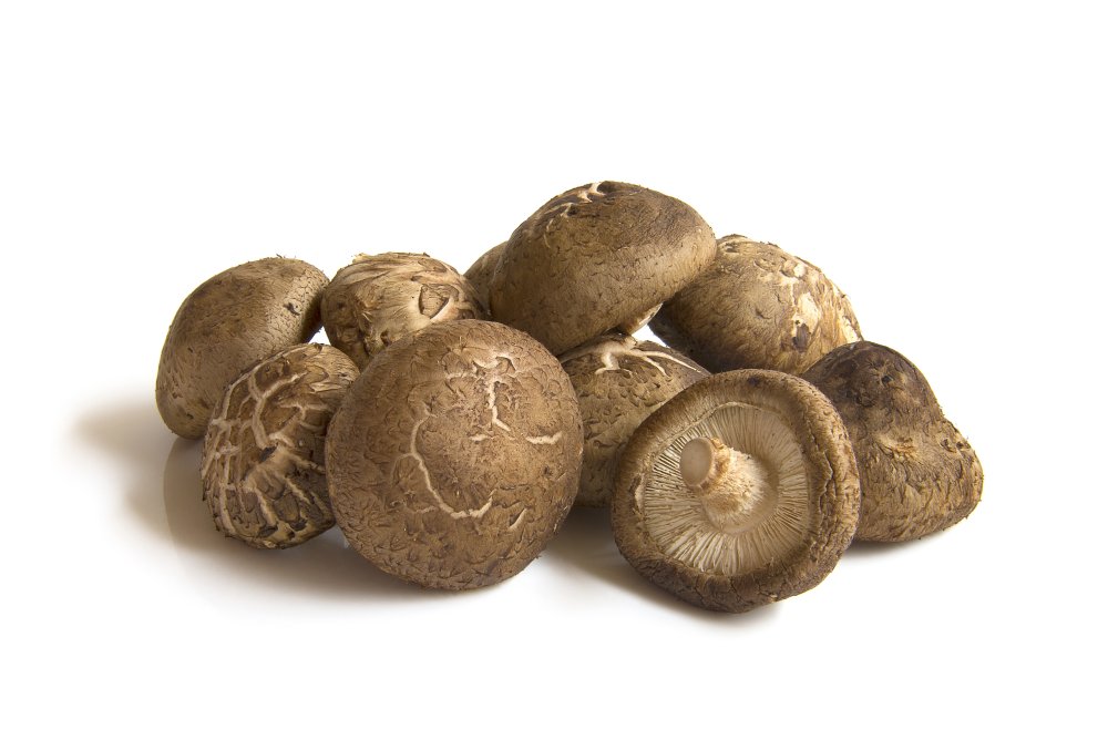 Shiitake houba
