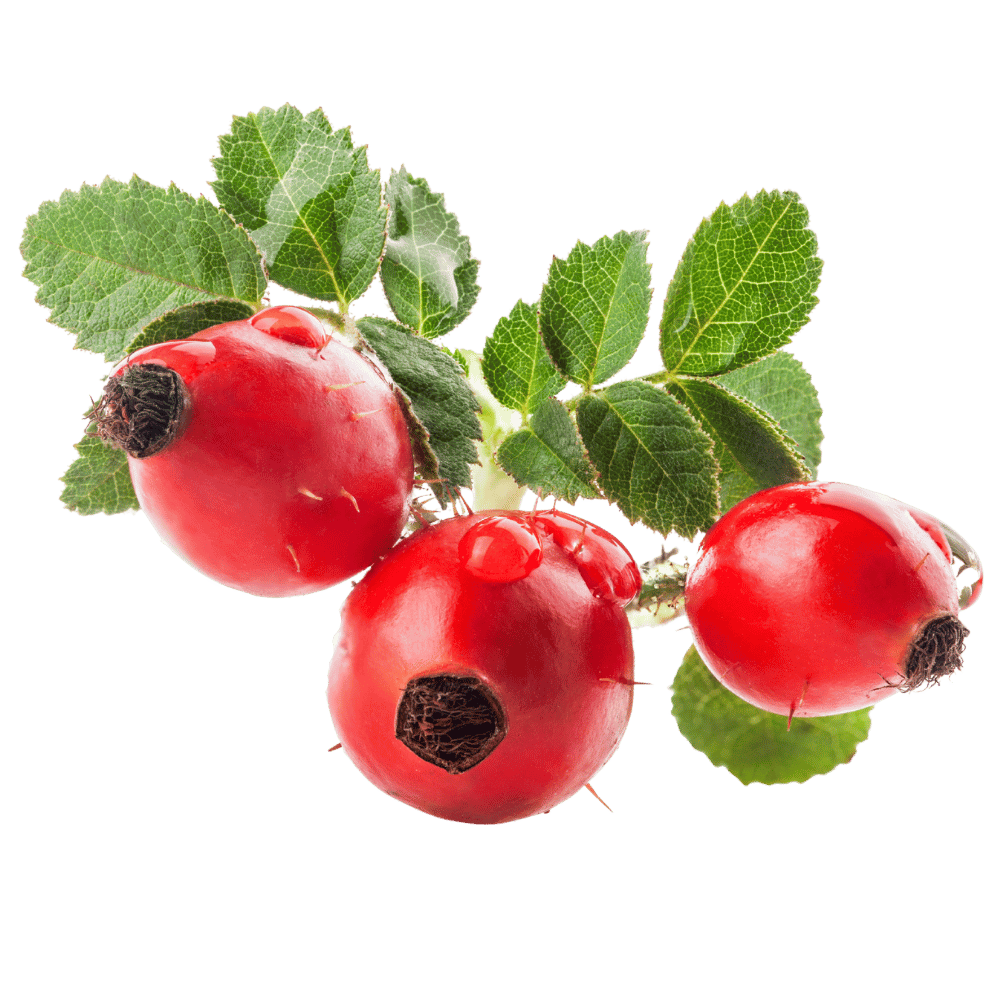 Šípek