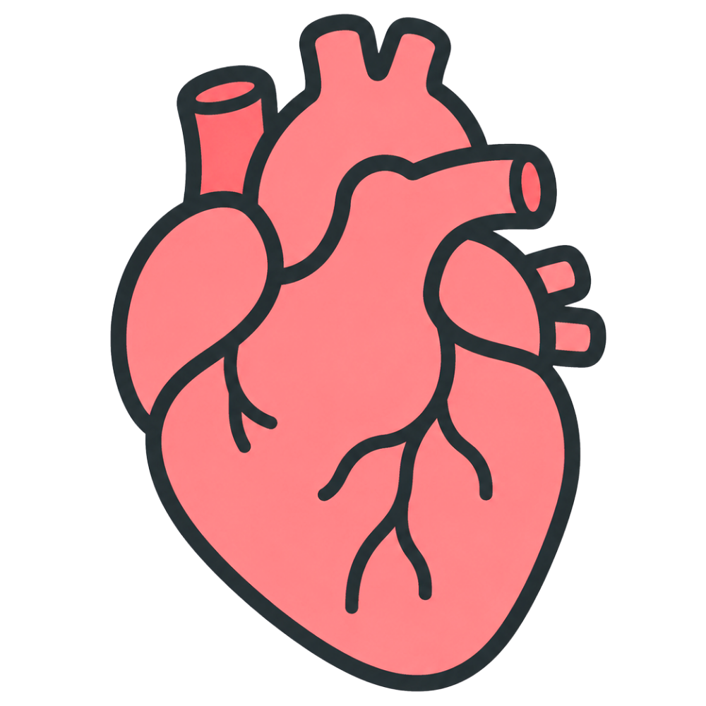 heart