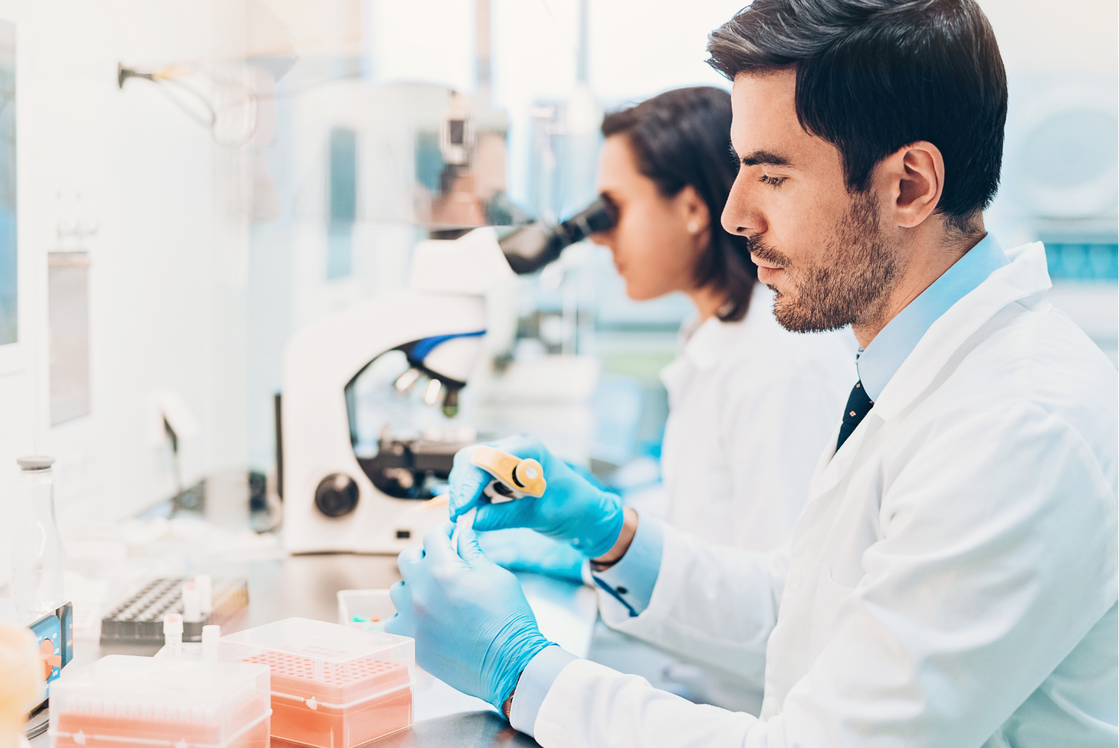 Nutri-Score-GreenFood